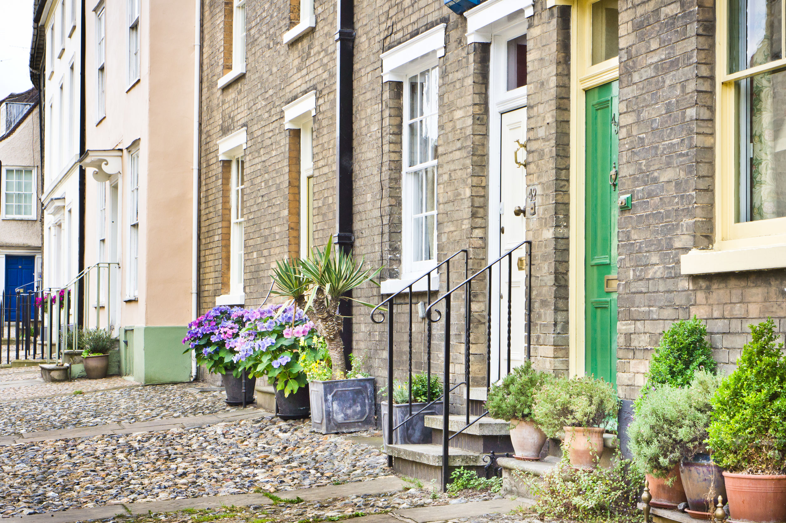 Town houses with plants in Bury St Edmunds, UK